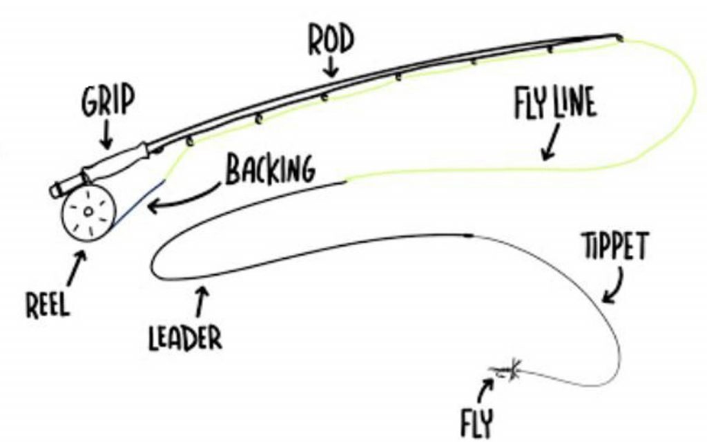 Casting Tips - East Anglia Fly Fishing