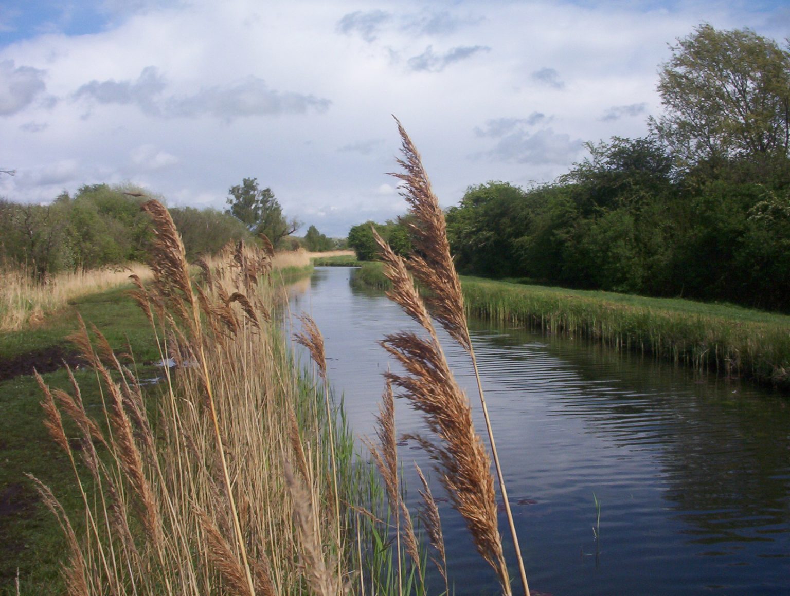 Venues - East Anglia Fly Fishing